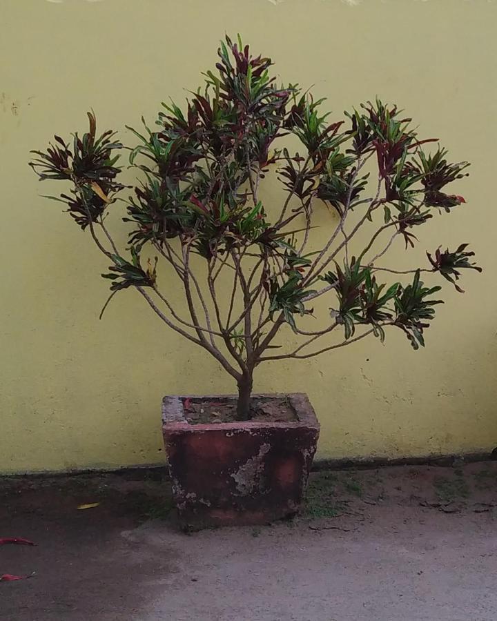 Sara Beach House Puri Exterior photo